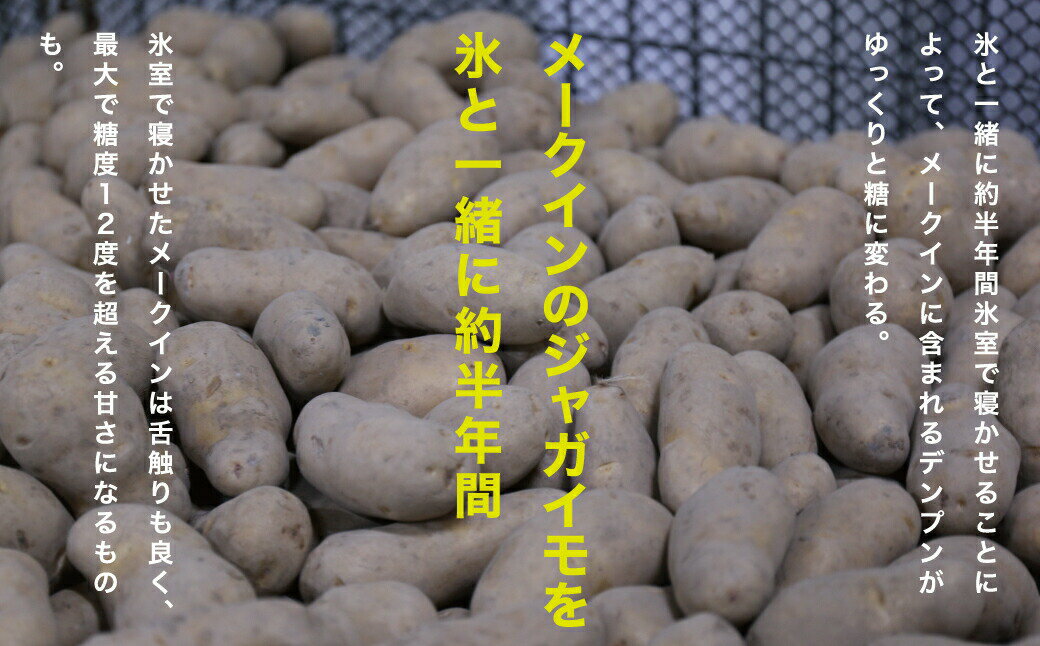 【ふるさと納税】【先行予約商品】【5月中旬から発送予定！】氷室メークイン 5kg《厚真町》【とまこまい広域農業協同組合】 じゃがいも ジャガイモ 芋 メークイン 野菜 先行予約 北海道 [AXAB046] サムネイル2