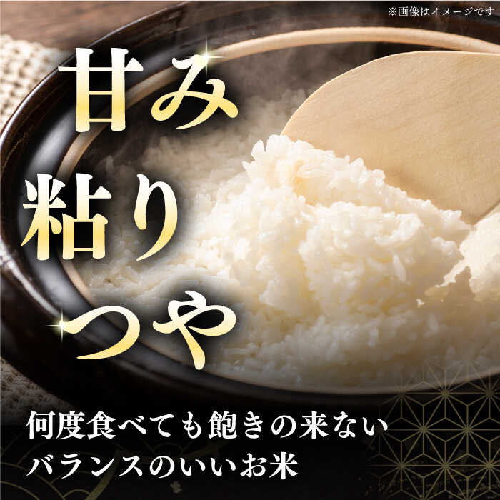 【ふるさと納税】【選べる発送月!】 米 5kg 令和7年産 特A ななつぼし [たんとう米] 北海道 白米 《厚真町》【とまこまい広域農業協同組合】 米 お米 白米 ご飯 ななつぼし 特A 北海道 令和7年 [AXAB060] - 画像2