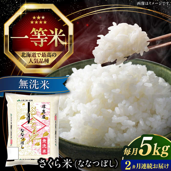 令和7年産 無洗米 5kg 全2回 定期便 特A さくら米 ななつぼし 北海道 《厚真町》【とまこまい広域農業協同組合】2カ月 連続 米 お米 無洗米 白米 ご飯 ななつぼし 北海道 定期便 [AXAB074]