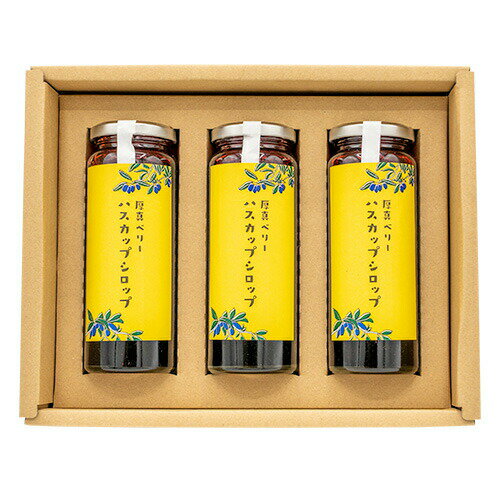 北海道厚真町産ハスカップシロップ3瓶セット《厚真町》【株式会社知熊屋】 [AXBN004]