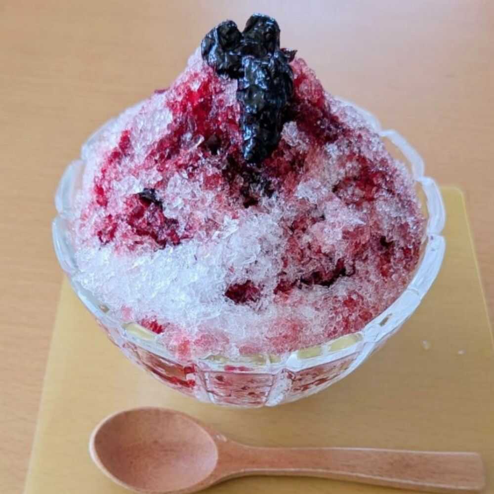 【ふるさと納税】【お歳暮対象】ハスカップシロップ・粒・ジャム 各1本セット【株式会社知熊屋】[AXBN008] 北海道 フルーツ ジャム フルーツ シロップ 健康 美容 サムネイル3