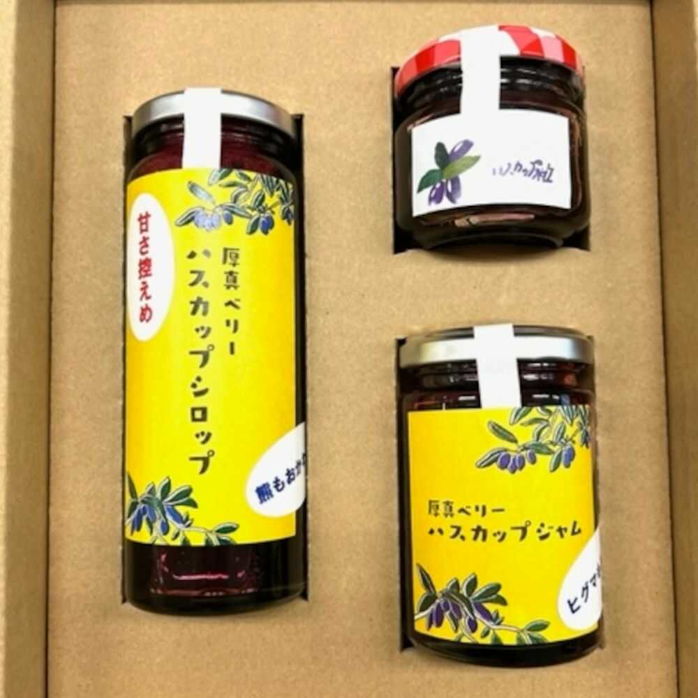 【お歳暮対象】ハスカップシロップ・粒・ジャム 各1本セット【株式会社知熊屋】[AXBN008] 北海道 フルーツ ジャム フルーツ シロップ 健康 美容