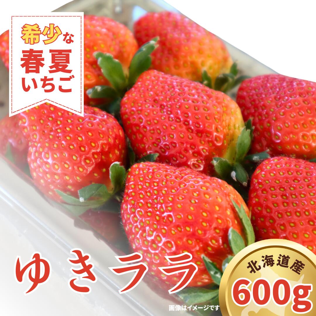 【先行予約 2026年5月発送！】春夏イチゴ「ゆきララ」計600g 【こばやしいちご農園】[AXBT002] 春いちご 夏いちご 苺 イチゴ 北海道