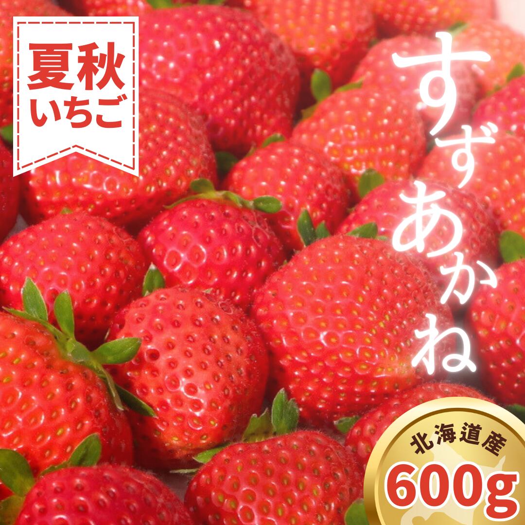【先行予約 2026年7月順次発送】 夏秋イチゴ「すずあかね」計600g 《厚真町》【こばやしいちご農園】[AXBT003] 夏イチゴ 秋イチゴ いちご 苺 北海道 四季なり