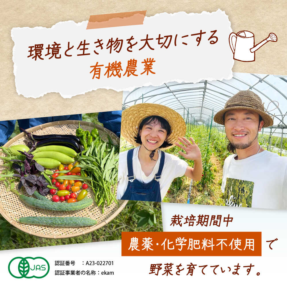 【ふるさと納税】《農薬不使用》乾燥小粒青大豆（品種：黒神）《厚真町》【ekam】 大豆 豆 オーガニック 農薬不使用 有機JAS認証 青大豆 乾燥大豆 北海道 [AXBV001] - 画像3