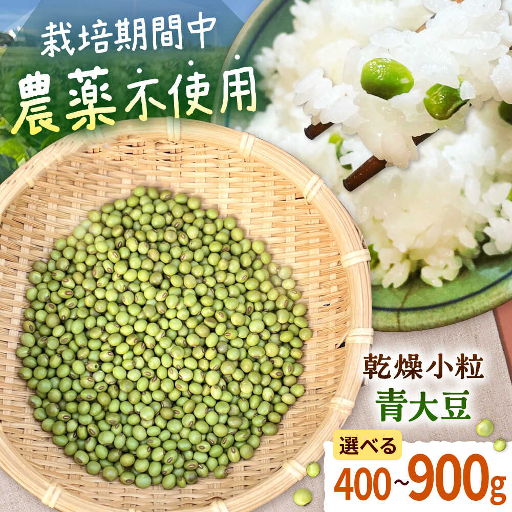 《農薬不使用》乾燥小粒青大豆（品種：黒神）《厚真町》【ekam】 大豆 豆 オーガニック 農薬不使用 有機JAS認証 青大豆 乾燥大豆 北海道 [AXBV001]