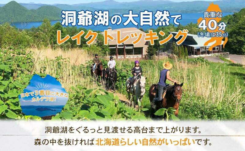 【ふるさと納税】 北海道 乗馬体験 40分コース ペア券 ホース トレッキング 絶景 自然 貴重 体験 経験 景色 ふれあい 血統馬 初心者 本格的 のんびり お子様 大人 楽しい レイクトーヤランチ 洞爺湖 体験チケット - 画像3