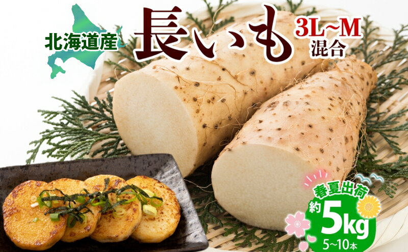 【ふるさと納税】北海道産 長いも 春夏出荷 約5kg 2026年5月上旬～6月下旬頃お届け 長芋 ながいも とろろ 農作物 野菜 新鮮 根菜 山かけ 産地直送 お取り寄せ 送料無料 冷蔵 北海道 洞爺湖町　お届け：2026年5月上旬～6月下旬まで - 画像2