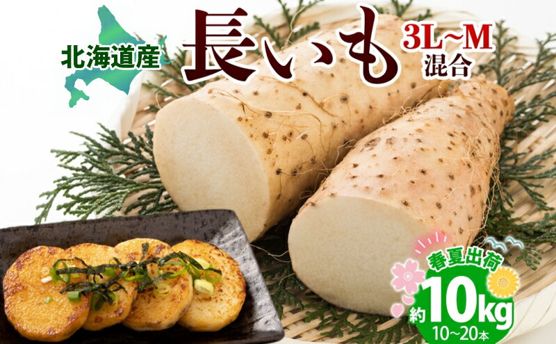 【ふるさと納税】北海道産 長いも 春夏出荷 約10kg 2026年5月上旬～6月下旬頃お届け 長芋 ながいも とろろ 農作物 野菜 新鮮 根菜 山かけ 産地直送 お取り寄せ 送料無料 冷蔵 北海道 洞爺湖町　お届け：2026年5月上旬～6月下旬まで - 画像2