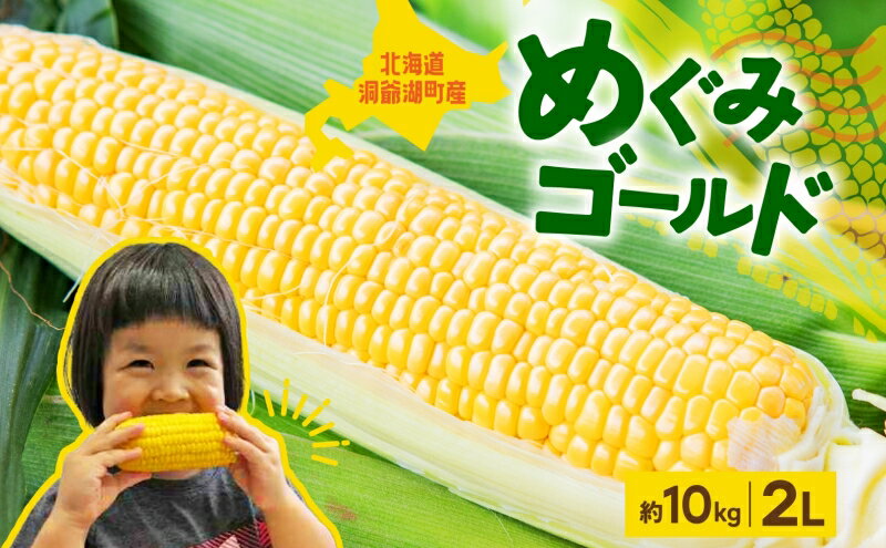 【ふるさと納税】北海道産 青野農園 めぐみ ゴールド 2Lサイズ 約10kg 先行受付 2026年8月中旬頃から出荷 スイートコーン 北海道 とうもろこし トウモロコシ コーン 恵味 旬 朝採れ 新鮮 野菜 農作物 産地直送 甘い 　お届け：2026年8月10日から8月25日頃まで サムネイル2