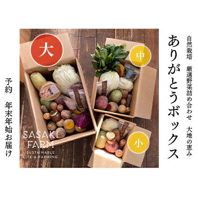 旬の野菜詰め合わせ ～ありがとうBOX2026・大～ 12月1日～1月31日頃お届け 先行予約 北海道 野菜 やさい 詰め合わせ セット 北海道産 常備菜 加工品 自然栽培 佐々木ファーム 産地直送 洞爺湖町　お届け：2026年12月1日～2027年1月31日まで
