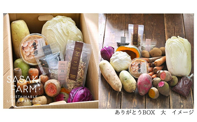 【ふるさと納税】旬の野菜詰め合わせ ～ありがとうBOX2026・大～ 12月1日～1月31日頃お届け 先行予約 北海道 野菜 やさい 詰め合わせ セット 北海道産 常備菜 加工品 自然栽培 佐々木ファーム 産地直送 洞爺湖町　お届け：2026年12月1日～2027年1月31日まで - 画像3