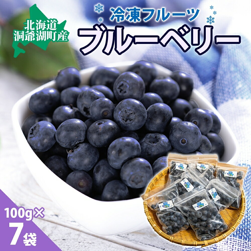 北海道産 ブルーベリー 100g 7袋 果物 果実 くだもの 冷凍食品 おやつ デザート ジュース ヨーグルト ジャム スイーツ 簡単 便利 一人暮らし 小分け 製菓 送料無料 冷凍 北海道 洞爺湖町