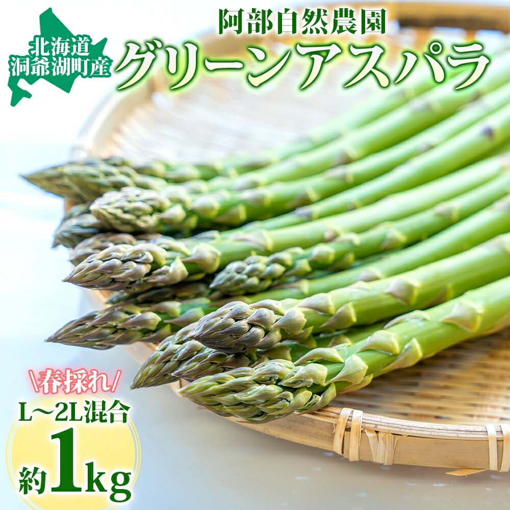 北海道 洞爺湖町産 グリーンアスパラ 約1kg L～2L混合 5月下旬頃お届け 2026 先行受付 路地 アスパラ アスパラガス 野菜 農作物 サラダ 天ぷら 新鮮 国産 人気 お取寄せ 産地直送 冷蔵 洞爺湖 　お届け：2026年5月下旬頃～5月末頃まで