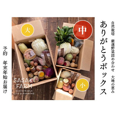 旬の野菜詰め合わせ ～ありがとうBOX2026・中～ 12月1日～1月31日頃お届け 先行予約 北海道 野菜 やさい 詰め合わせ セット 北海道産 常備菜 加工品 自然栽培 佐々木ファーム 産地直送 洞爺湖町　お届け：2026年12月1日～2027年1月31日まで