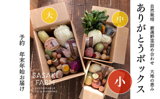 【ふるさと納税】旬の野菜詰め合わせ ～ありがとうBOX2026・小～ 12月1日～1月31日頃お届け 先行予約 北海道 野菜 やさい 詰め合わせ セット 北海道産 常備菜 加工品 自然栽培 佐々木ファーム 産地直送 洞爺湖町　お届け：2026年12月1日～2027年1月31日まで - 画像2