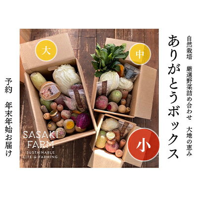 旬の野菜詰め合わせ ～ありがとうBOX2026・小～ 12月1日～1月31日頃お届け 先行予約 北海道 野菜 やさい 詰め合わせ セット 北海道産 常備菜 加工品 自然栽培 佐々木ファーム 産地直送 洞爺湖町　お届け：2026年12月1日～2027年1月31日まで