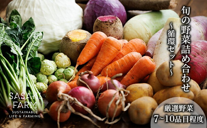 【ふるさと納税】〈自然栽培〉佐々木ファーム 旬の野菜詰め合わせ ～循環セット～ 厳選野菜7-10品目程度 2026年3月よりお届け やさい 直送 北海道 洞爺湖町 野菜の詰め合わせ 北海道産 北海道産野菜 　お届け：2026年3月1日～11月30日まで - 画像2