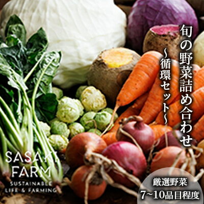 〈自然栽培〉佐々木ファーム 旬の野菜詰め合わせ ～循環セット～ 厳選野菜7-10品目程度 2026年3月よりお届け やさい 直送 北海道 洞爺湖町 野菜の詰め合わせ 北海道産 北海道産野菜 　お届け：2026年3月1日～11月30日まで