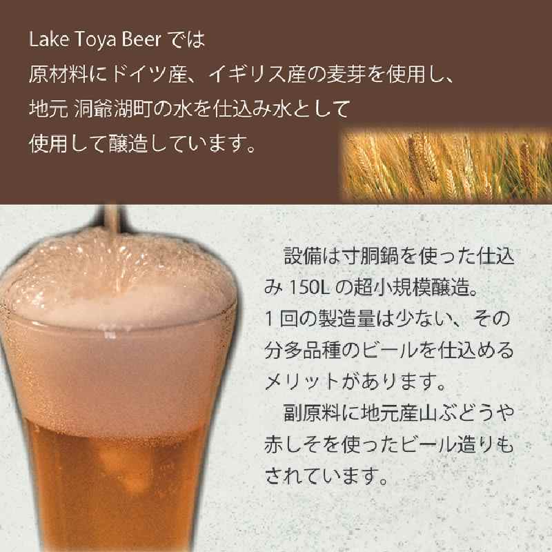【ふるさと納税】Lake Toya Beer クラフトビール 定番4種4本セット(紙コースター2枚付) 4カ月連続お届け お酒 瓶ビール アルコール 晩酌 バーベキュー BBQ 家飲み 宅飲み 飲み比べ サムネイル3