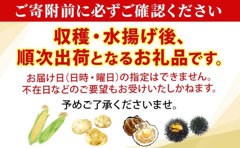 【ふるさと納税】北海道 月浦 めぐみ ゴールド 5kg 先行受付 8月下旬～9月中旬頃にお届け とうもろこしトウモロコシ とうきび 恵味 スイート コーン 旬 野菜 甘い 大粒 人気 朝採り 産地直送 青山農園 送料無料 洞爺湖 　お届け：2026年8月中旬～9月中旬頃まで - 画像3