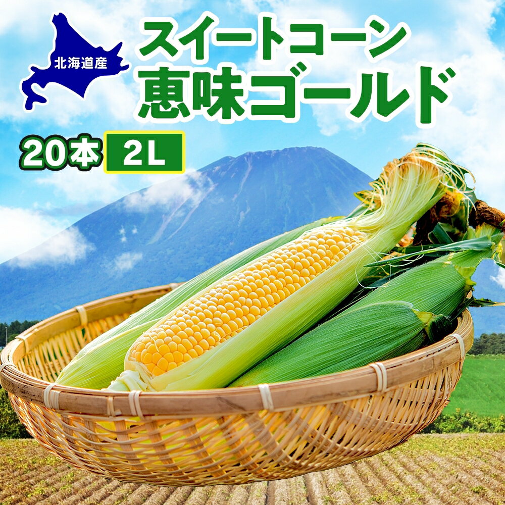 北海道産 スイート コーン めぐみゴールド 2Lサイズ 20本 先行受付 2026年8月上旬～下旬頃お届け とうもろこし 恵味 めぐみ トウモロコシ 旬 完熟 朝もぎ 野菜 産地直送 お取り寄せ 北海道 丸田農園 洞爺湖 　お届け：2026年8月中旬～8月下旬までのお届け