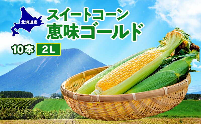 【ふるさと納税】 北海道産 スイート コーン めぐみゴールド 2Lサイズ 10本 先行受付 2026年8月上旬～下旬頃お届け とうもろこし 恵味 めぐみ トウモロコシ 旬 完熟 朝もぎ 野菜 産地直送 お取り寄せ 北海道 丸田農園 洞爺湖 　お届け：2026年8月中旬～8月下旬までのお届け - 画像2
