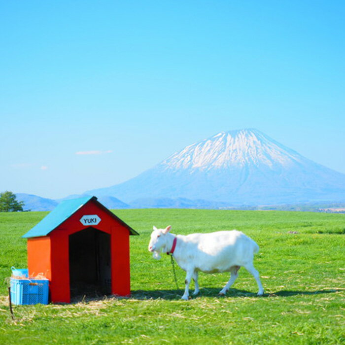 【ふるさと納税】北海道洞爺湖町の対象施設で使える　楽天トラベルクーポン　寄付額150,000円(クーポン45,000円) 北海道 宿泊 宿泊券 ホテル 旅館 旅行 旅行券 観光 トラベル チケット 旅 宿 券 サムネイル3