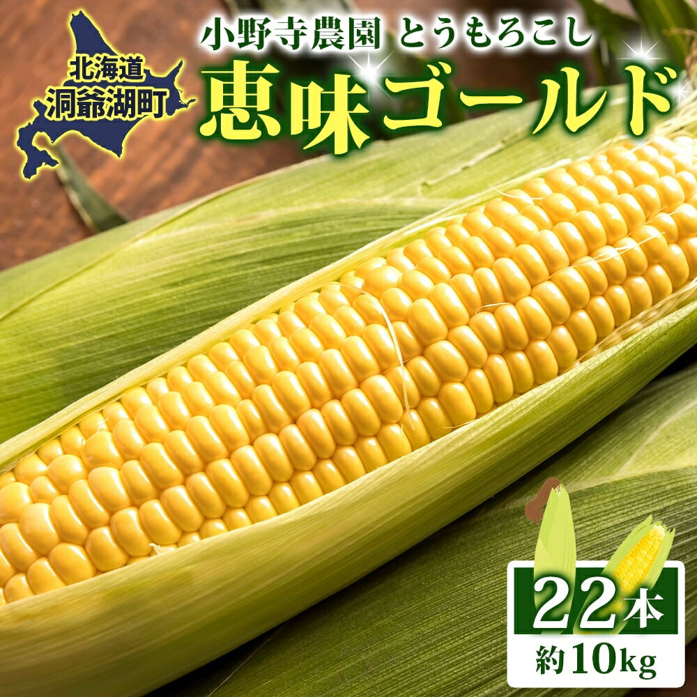 北海道 とうもろこし 恵味ゴールド 約10kg 22本入り 2026年8月中旬～末頃お届けトウモロコシ コーン 甘い 産地直送 BBQ とうきび 国産 人気 バーベキュー お取り寄せ 北海道産 洞爺湖町　お届け：2026年8月中旬から8月末頃のお届け