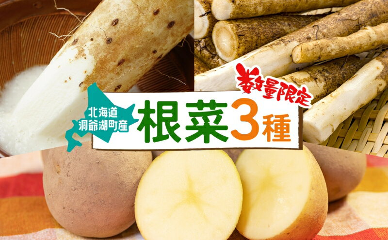 【ふるさと納税】数量限定 根菜3種セット 計8.6kg 土付き 長芋 5kg 土付き ごぼう 1.8kg じゃがいも 1.8kg 先行予約 2026年11月下旬～12月下旬までのお届け 野菜 詰め合わせ 根菜 常温 青野農園 北海道 洞爺湖町　お届け：2026年11月下旬～12月下旬まで - 画像2