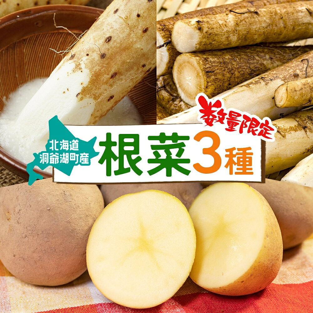 数量限定 根菜3種セット 計8.6kg 土付き 長芋 5kg 土付き ごぼう 1.8kg じゃがいも 1.8kg 先行予約 2026年11月下旬～12月下旬までのお届け 野菜 詰め合わせ 根菜 常温 青野農園 北海道 洞爺湖町　お届け：2026年11月下旬～12月下旬まで