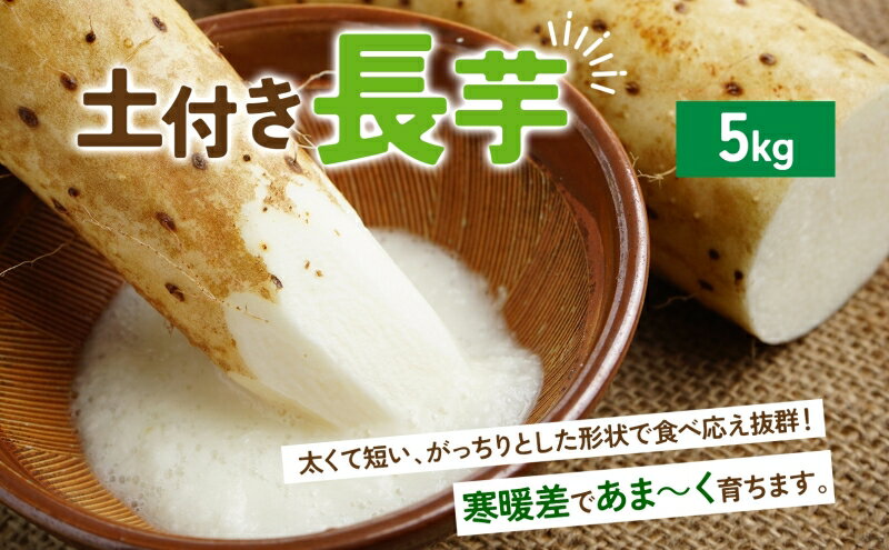 【ふるさと納税】数量限定 根菜3種セット 計8.6kg 土付き 長芋 5kg 土付き ごぼう 1.8kg じゃがいも 1.8kg 先行予約 2026年11月下旬～12月下旬までのお届け 野菜 詰め合わせ 根菜 常温 青野農園 北海道 洞爺湖町　お届け：2026年11月下旬～12月下旬まで - 画像3