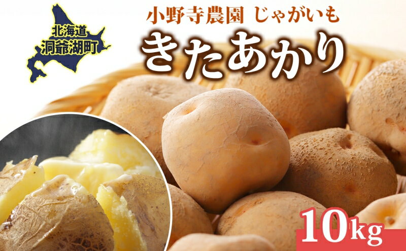 【ふるさと納税】R8年産 先行受付 じゃがいも きたあかり 10kg 2026年9月下旬より順次出荷 栗じゃがいも ホクホク 甘い ポテトサラダ コロッケ 産地直送 お取り寄せ 国産 小野寺農園 北海道 洞爺湖町 　お届け：2026年9月下旬より順次出荷 - 画像2