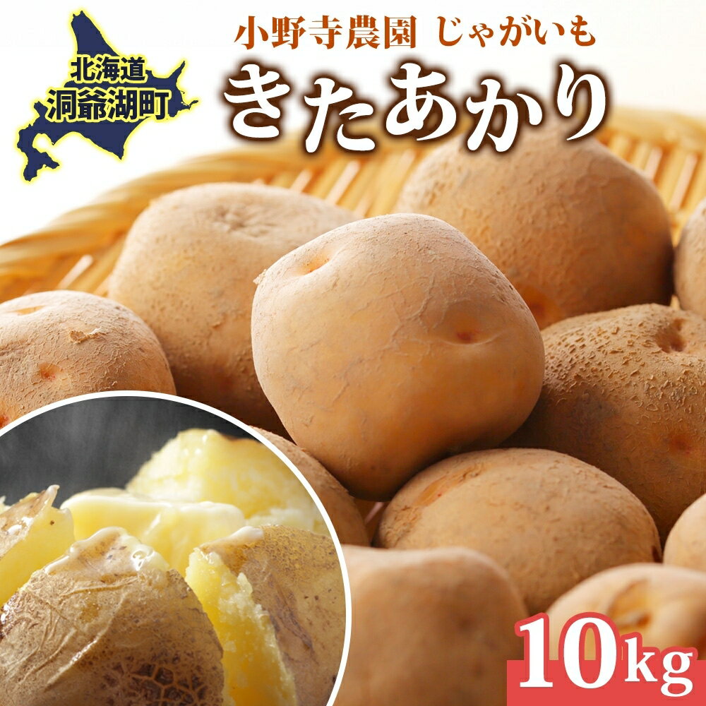 R8年産 先行受付 じゃがいも きたあかり 10kg 2026年9月下旬より順次出荷 栗じゃがいも ホクホク 甘い ポテトサラダ コロッケ 産地直送 お取り寄せ 国産 小野寺農園 北海道 洞爺湖町 　お届け：2026年9月下旬より順次出荷