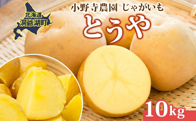【ふるさと納税】R8年産 先行受付 じゃがいも とうや 10kg 2026年9月下旬より順次出荷 ホクホク 甘い ポテトサラダ コロッケ 産地直送 お取り寄せ 国産 小野寺農園 北海道 洞爺湖町　お届け：2026年9月下旬より順次出荷 - 画像2