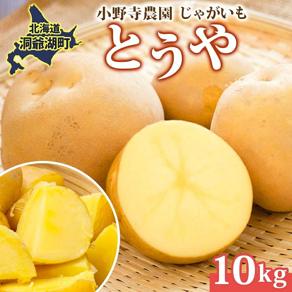 R8年産 先行受付 じゃがいも とうや 10kg 2026年9月下旬より順次出荷 ホクホク 甘い ポテトサラダ コロッケ 産地直送 お取り寄せ 国産 小野寺農園 北海道 洞爺湖町　お届け：2026年9月下旬より順次出荷