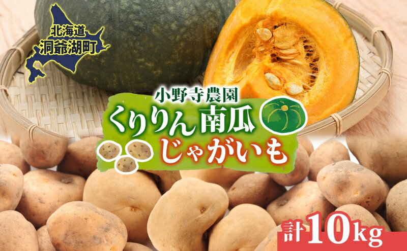 【ふるさと納税】R8年産 先行受付 南瓜 くりりん じゃがいも 計10kg 2026年9月下旬よりお届け ホクホク 甘い 栗 ホクホク 産地直送 お取り寄せ 国産 小野寺農園 北海道 洞爺湖町　お届け：2026年9月下旬以降順次出荷 - 画像2