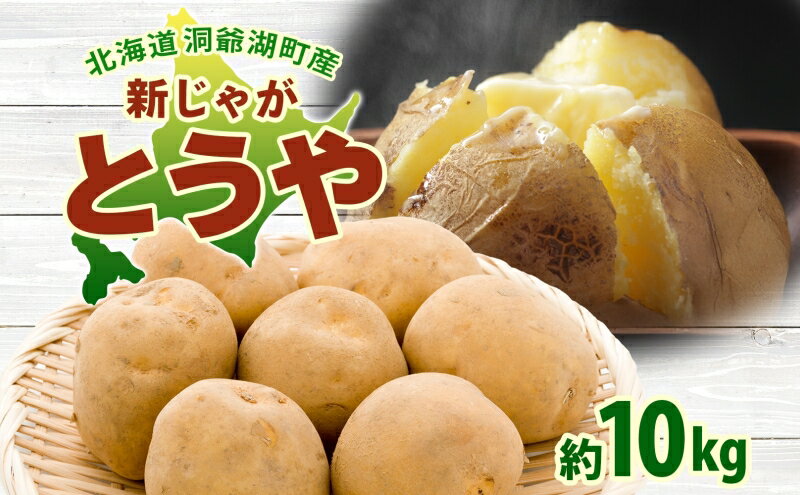 【ふるさと納税】北海道 洞爺湖町産 新じゃがいも とうや 約10kg Mサイズ以上混載 2026年10月初旬より順次出荷 北海道産 新じゃが じゃがいも ジャガイモ 馬鈴薯 旬 野菜 農作物 送料無料 産地直送 常温 洞爺湖町 　お届け：2026年10月初旬より順次出荷 - 画像2