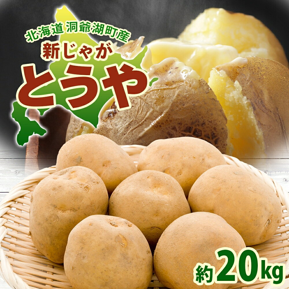 北海道 洞爺湖町産 新じゃがいも とうや 約20kg Mサイズ以上混載 2026年10月初旬より順次出荷 北海道産 新じゃが じゃがいも いも ジャガイモ 馬鈴薯 黄爵 芋 旬 野菜 農作物 送料無料 産地直送 常温 洞爺湖町 　お届け：2026年10月初旬より順次出荷