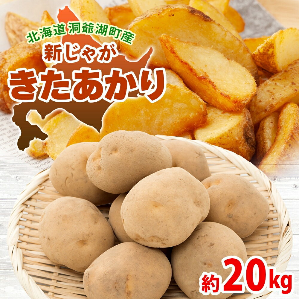 北海道 洞爺湖町産 新じゃがいも きたあかり 約20kg Mサイズ以上混載 2026年10月初旬より順次出荷 北海道産 新じゃが じゃがいも いも ジャガイモ 馬鈴薯 黄爵 芋 旬 野菜 農作物 産地直送 常温 洞爺湖町　お届け：2026年10月初旬より順次出荷