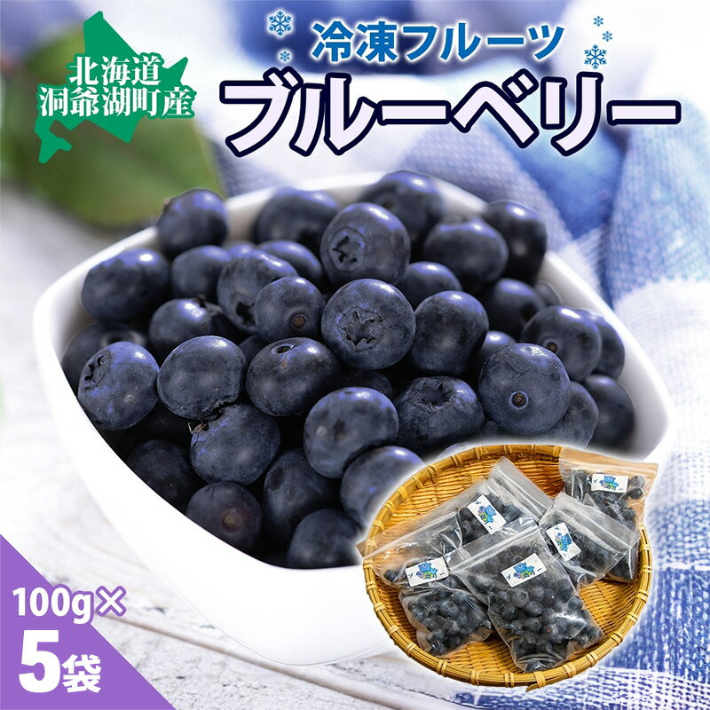 役に立ちます 冷凍カット果物 ブルーベリー100g×5袋 9月初旬よりお届け 冷凍 カット 果物 小分け 時短 弁当 簡単 調理 便利 国産 北海道 洞爺湖町　お届け：2025年9月初旬より順次出荷