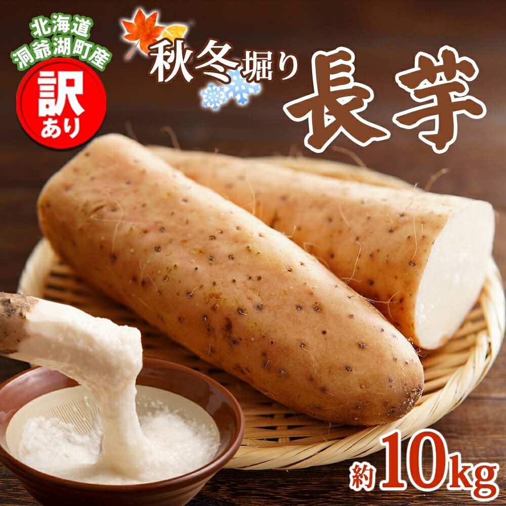 洞爺湖町産 訳あり 長芋 約10kg 2026年12月上旬から順次お届け 長いも 国産 北海道産 訳アリ 家庭用 不揃い とろろ 山かけ ステーキ 生食 調理 野菜 芋 旬 北海道 洞爺湖町　お届け：2026年12月上旬～2027年2月中旬頃まで