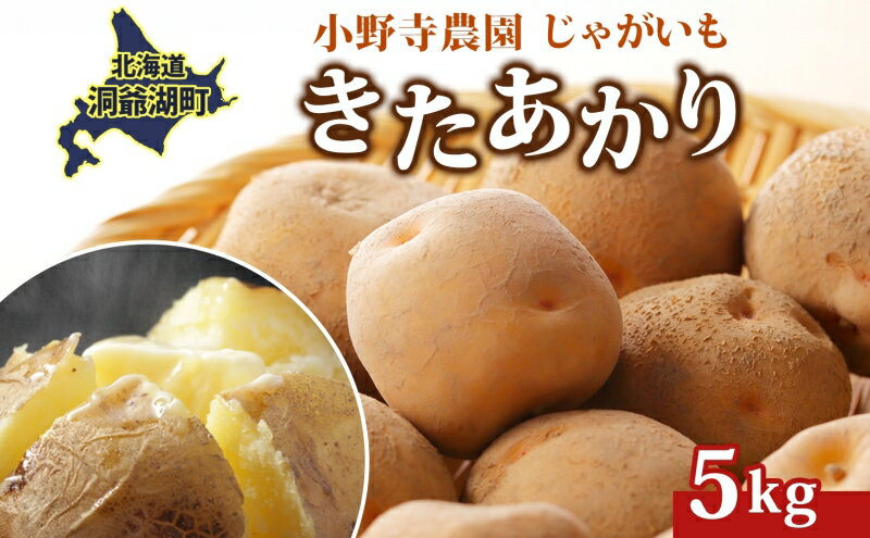 【ふるさと納税】R8年産 先行受付 じゃがいも きたあかり 5kg 2026年9月下旬より順次出荷 栗じゃがいも ホクホク 甘い ポテトサラダ コロッケ 産地直送 お取り寄せ 国産 小野寺農園 北海道 洞爺湖町　お届け：2026年9月下旬～12月中旬 - 画像2