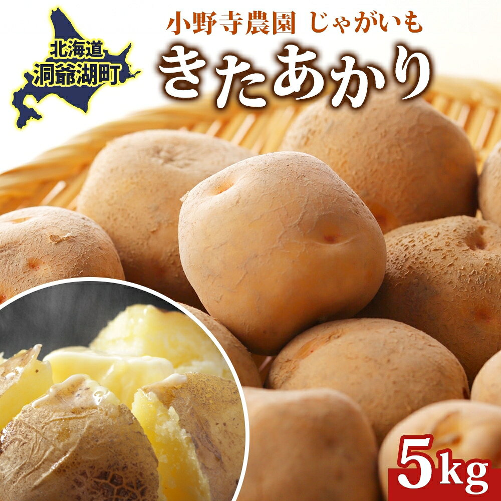 R8年産 先行受付 じゃがいも きたあかり 5kg 2026年9月下旬より順次出荷 栗じゃがいも ホクホク 甘い ポテトサラダ コロッケ 産地直送 お取り寄せ 国産 小野寺農園 北海道 洞爺湖町　お届け：2026年9月下旬～12月中旬