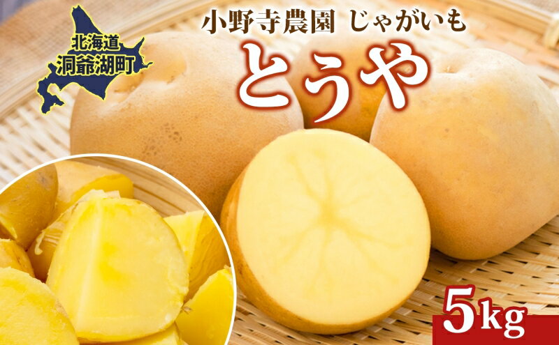 【ふるさと納税】R8年産 先行受付 じゃがいも とうや 5kg 2026年9月下旬より順次出荷 ホクホク 甘い ポテトサラダ コロッケ 産地直送 お取り寄せ 国産 小野寺農園 北海道 洞爺湖町　お届け：2026年9月下旬～12月中旬 - 画像2