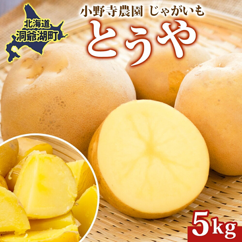 R8年産 先行受付 じゃがいも とうや 5kg 2026年9月下旬より順次出荷 ホクホク 甘い ポテトサラダ コロッケ 産地直送 お取り寄せ 国産 小野寺農園 北海道 洞爺湖町　お届け：2026年9月下旬～12月中旬