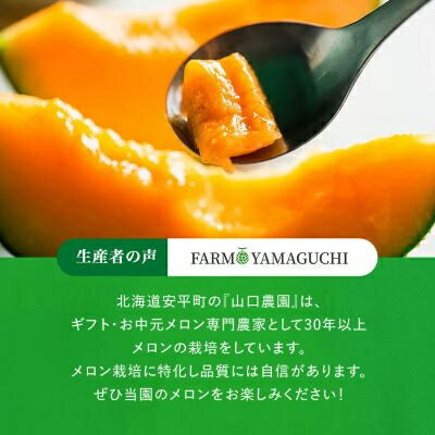【ふるさと納税】【数量限定】 おいわけメロン 糖度16度以上　1.7kg以上×3玉入【1000244】 サムネイル3