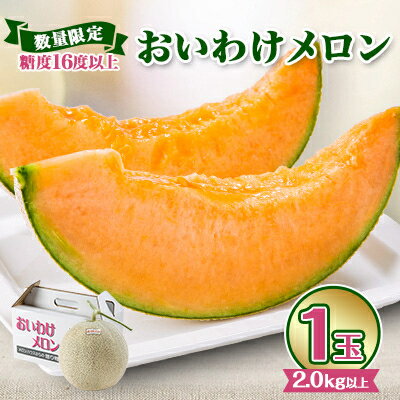 【2026年発送】おいわけメロン 糖度16度以上 2.0kg以上×1玉(数量限定)【1102196】
