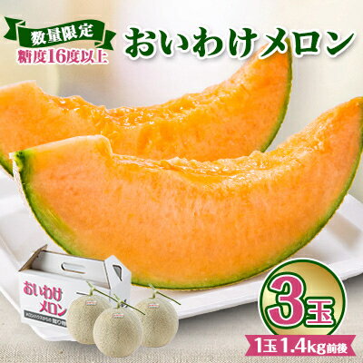 【2026年発送】おいわけメロンパック 糖度16度以上 1.4kg前後×3玉(数量限定)【1137369】
