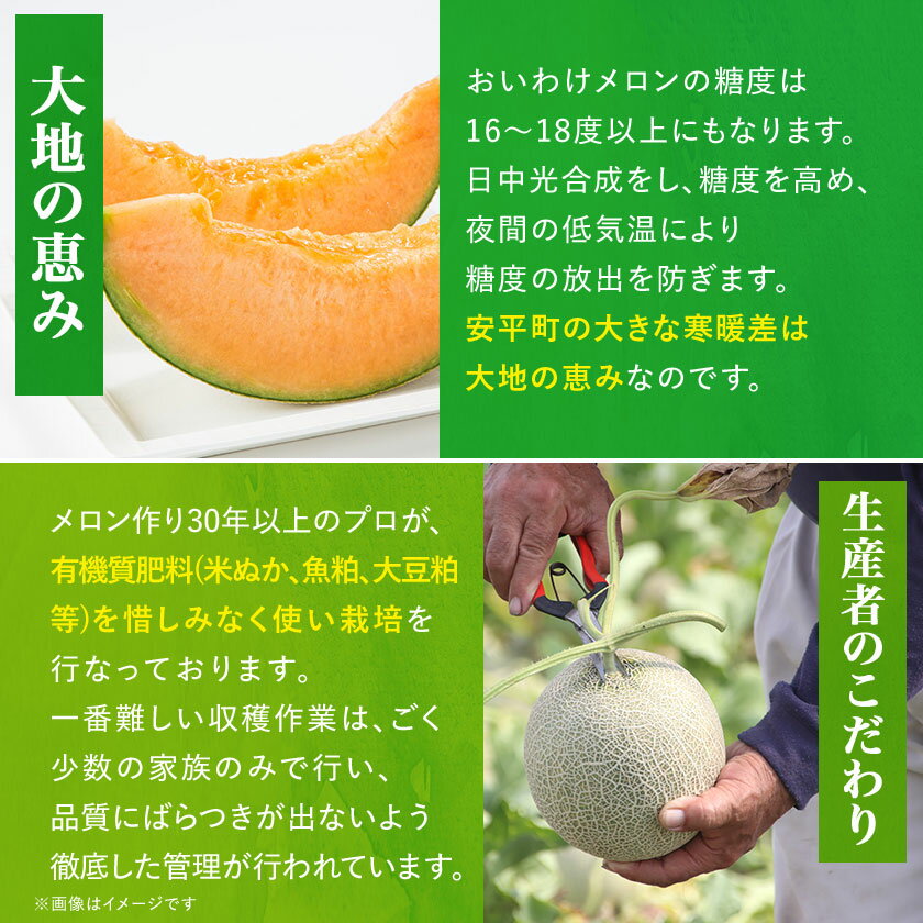 【ふるさと納税】【数量限定】おいわけメロンパック 糖度16度以上 大箱約8kg(4～6玉)_ メロン めろん 赤肉 赤肉メロン おいわけメロン 追分 数量限定 北海道 果物 くだもの フルーツ デザート 甘い 糖度 贈答 ギフト プレゼント 国産 産直 産地直送 送料無料 【1226767】 サムネイル3
